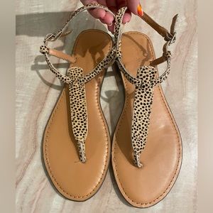J. crew T-strap Calf Hair Animal Priny Sandals size 7.5